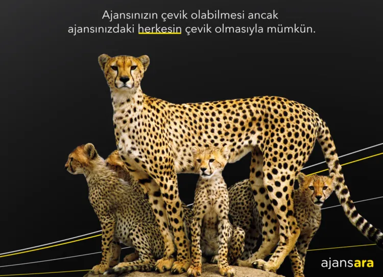 Ajansara ajans çevik agile scrum sprint kanban agile prensipler ajansınızı nasıl çevik yapabilirsiniz? Ajansara