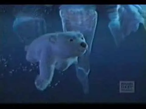 Coca Cola Polar Bear Commercial